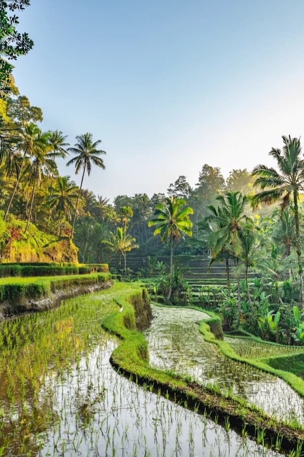 Bali